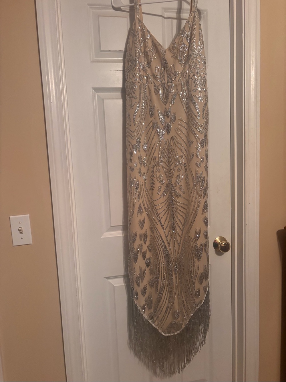 Beaded Fringe Evening Dress in Nude with Silver Embellishment